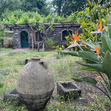 Il Glicine Bed & Breakfast *
