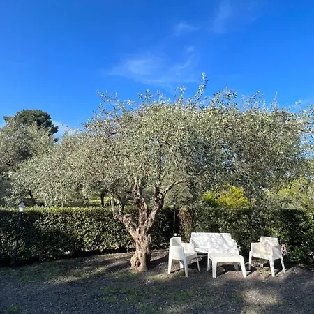 Il Glicine Bed & Breakfast