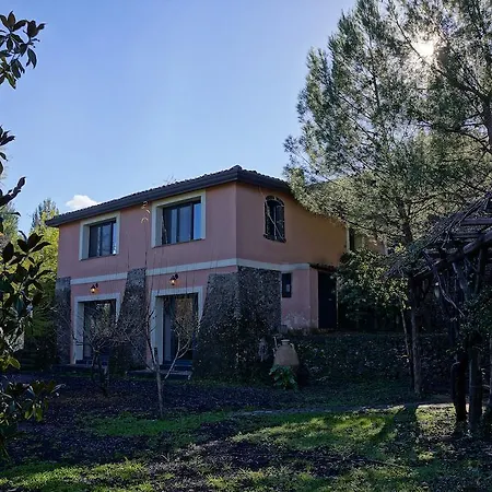 Bed & Breakfast Il Glicine Piedimonte Etneo