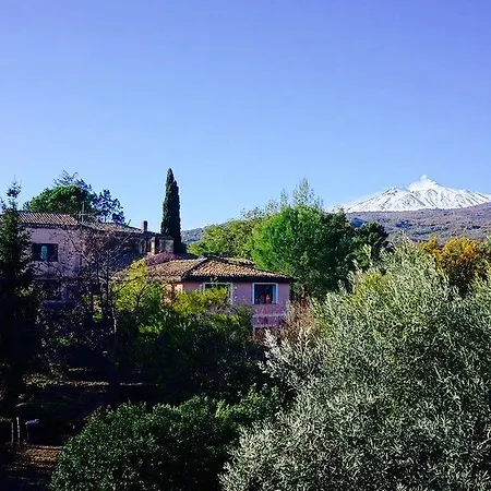 Il Glicine